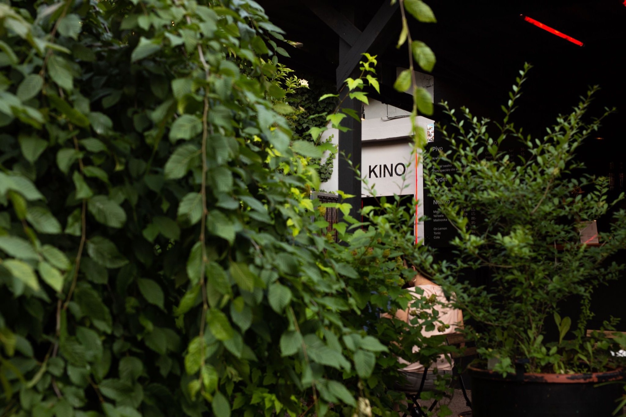 Kino — fotka 5